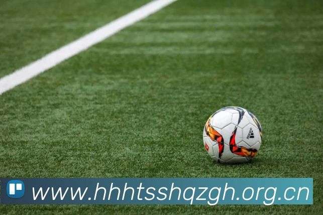 买球官方APP 封面图